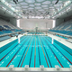 Illustration for article titled Water Cube Olympic Pool Not Responsible for Michael Phelpss Aquaman Superpowers